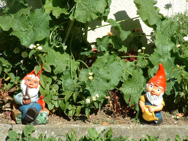 stoosgnome.jpg, 9/27/2003, 133 kB