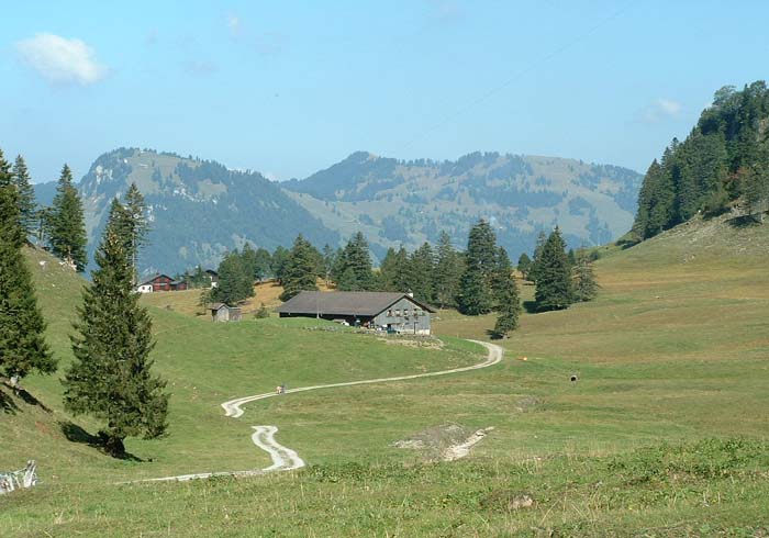 stooshike.jpg, 10/3/2003, 74 kB