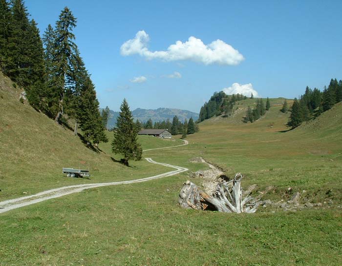stooshike2.jpg, 10/3/2003, 83 kB
