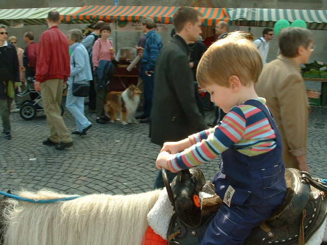 zurichsebionhorse.jpg, 9/28/2003, 120 kB