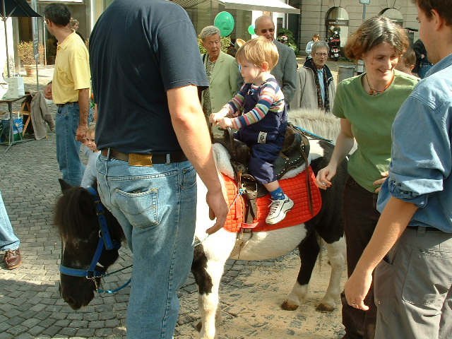 zurichsebionhorse2.jpg, 9/28/2003, 123 kB