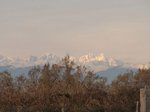 tn_PICT0156.JPG