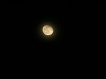 tn_PICT0238.JPG