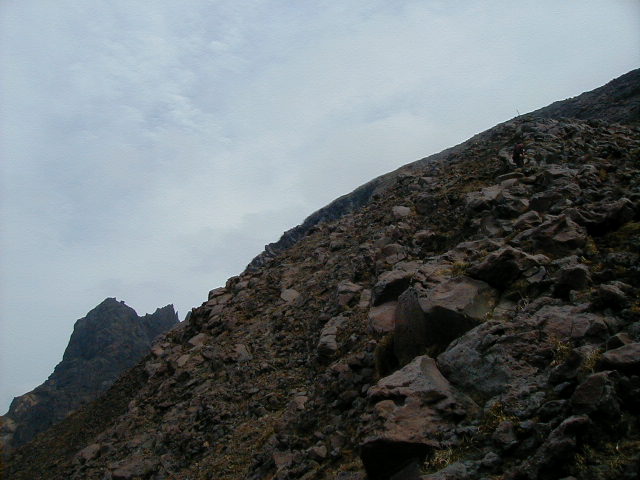 try walking on this stuff.JPG, 62249 bytes, 1998/01/01