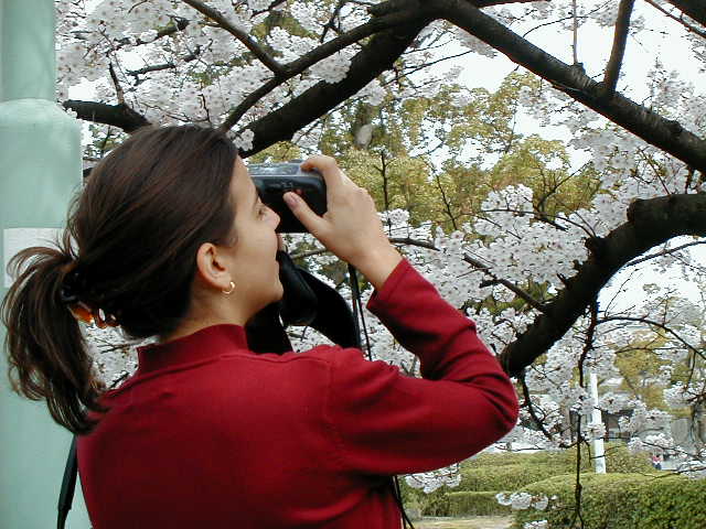 Jen loves blossoms.jpg, 64391 bytes, 1/1/1998