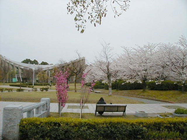 across the way.JPG, 70569 bytes, 4/5/2000