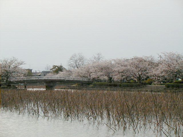 bridge over moat.JPG, 63408 bytes, 4/5/2000