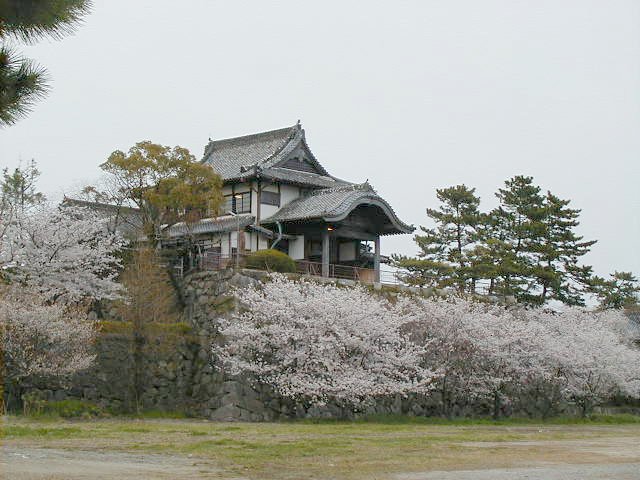 castle ruins.JPG, 74377 bytes, 4/5/2000
