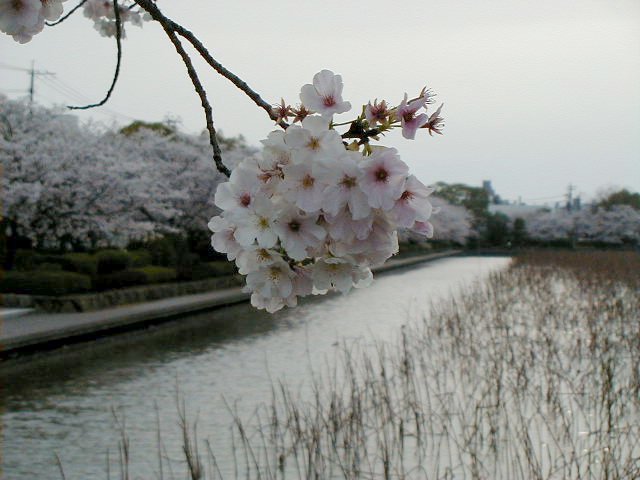 close up over moat.JPG, 54977 bytes, 4/5/2000