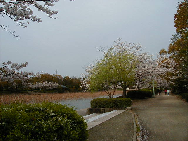 footpath.JPG, 62002 bytes, 1/1/1998
