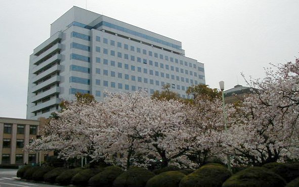 kencho and blooms.JPG, 60448 bytes, 4/5/2000