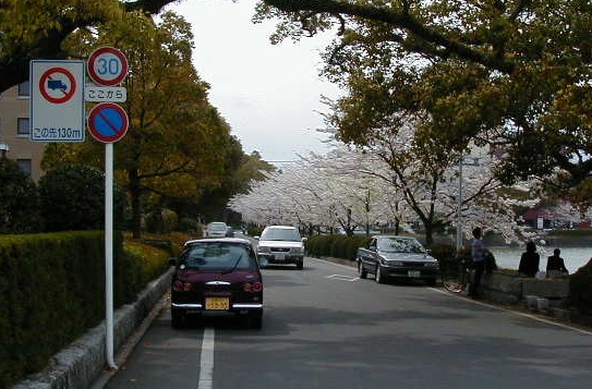 live at kencho.jpg, 129850 bytes, 8/1/2000