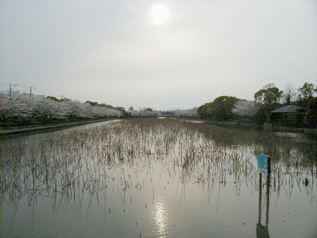 moat 3.JPG, 57753 bytes, 4/5/2000