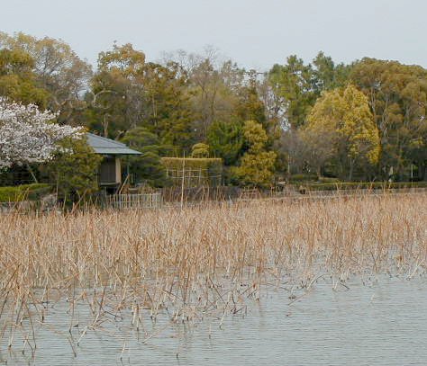 moat environs.JPG, 54503 bytes, 4/5/2000