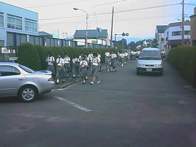 lots arriving at ushizu.jpg, 55107 bytes, 9/27/1999