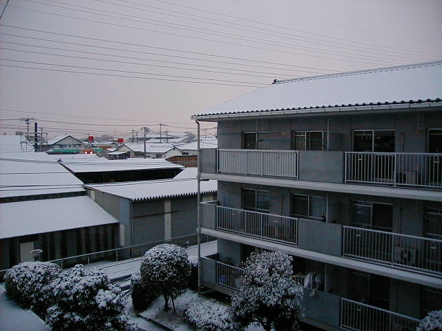 snow3.jpg, 60578 bytes, 1/1/1998