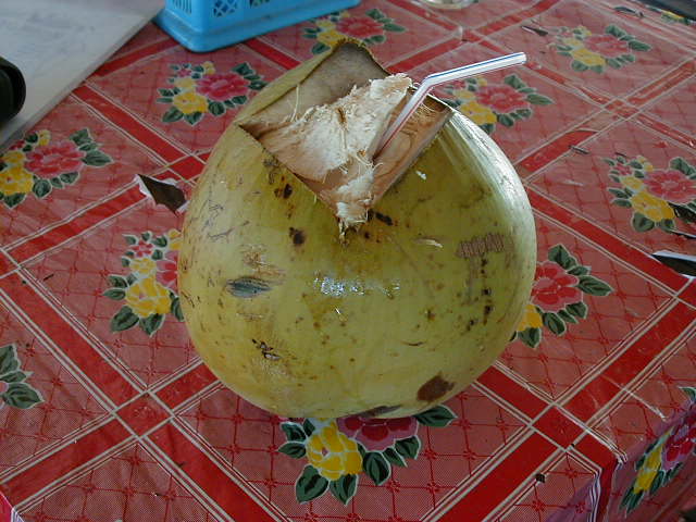 coconutlunch.jpg, 61698 bytes, 1/7/2001