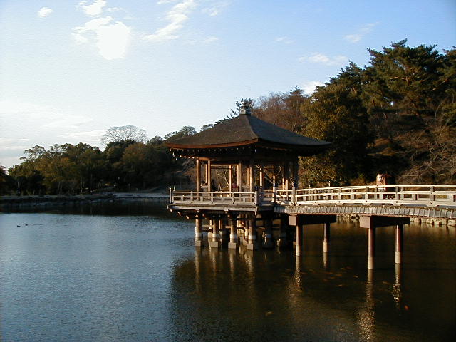 nara - a walk in the park.JPG, 1/3/2005, 60 kB