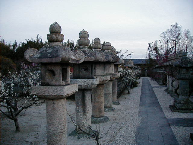 kodenji graves 2.JPG, 1/3/2005, 60 kB