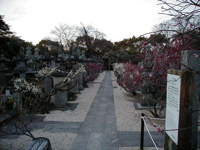 kodenji graves.JPG, 1/3/2005, 62 kB