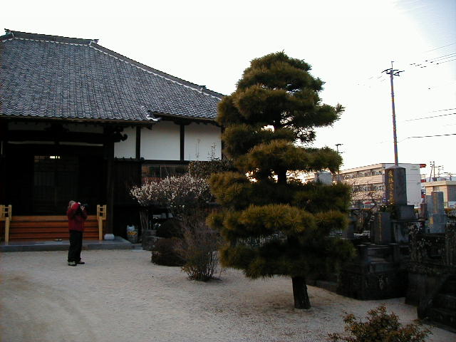 temple grounds.JPG, 1/3/2005, 58 kB