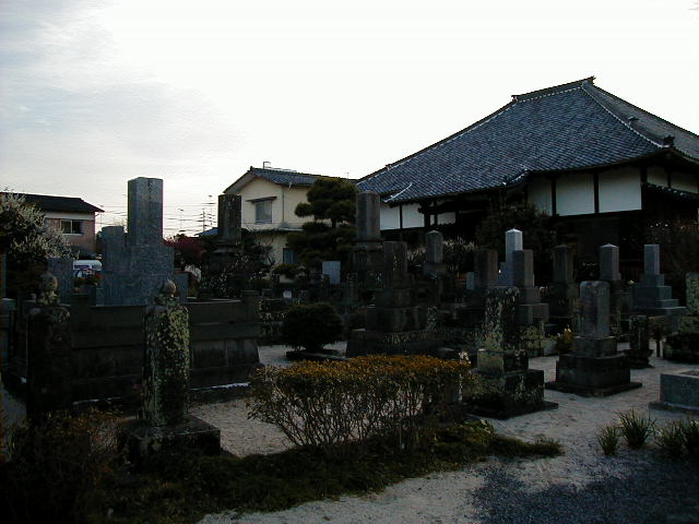 temple with blossoms.JPG, 1/3/2005, 56 kB
