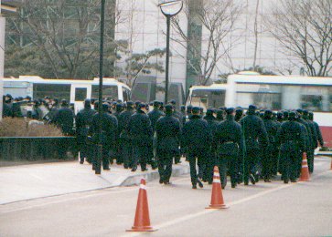 kr - did someone call the cops.jpg, 1/3/2005, 31 kB