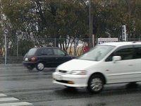 kim too slow to cross.jpg