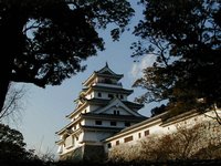 karatsu nice castle.JPG