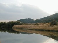 yoshi - pretty water shot.JPG