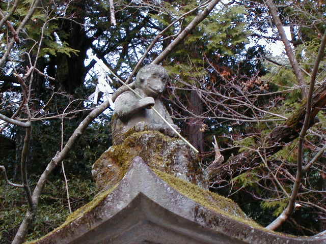 yoshi - monkey guard 2.JPG, 1/3/2005, 63 kB