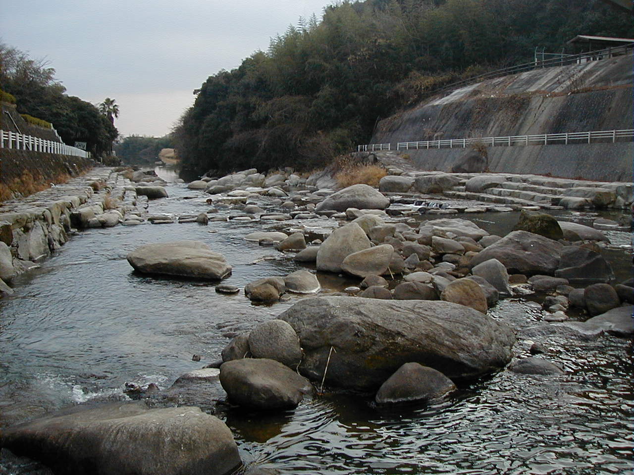 yoshi - rocks in water.JPG, 1/3/2005, 205 kB
