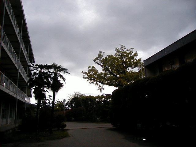 Ogi High.jpg, 56337 bytes, 1/1/1998