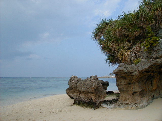 beach.jpg, 64202 bytes, 11/25/2000
