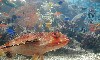 aquarium3.jpg