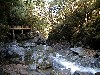 hijipathway.jpg