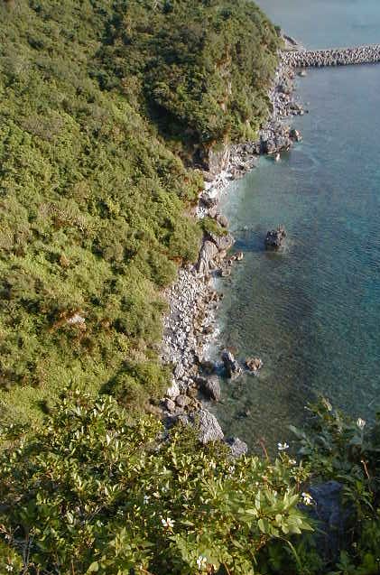 coastaloverlook.jpg, 80156 bytes, 11/27/2000