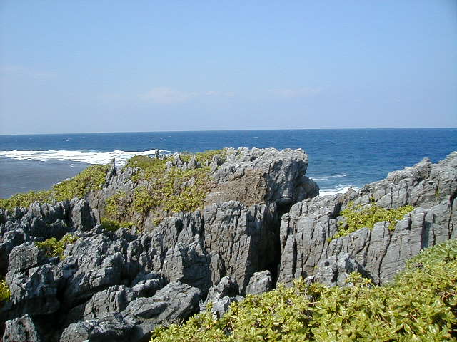 hedorocks5.jpg, 63164 bytes, 11/24/2000