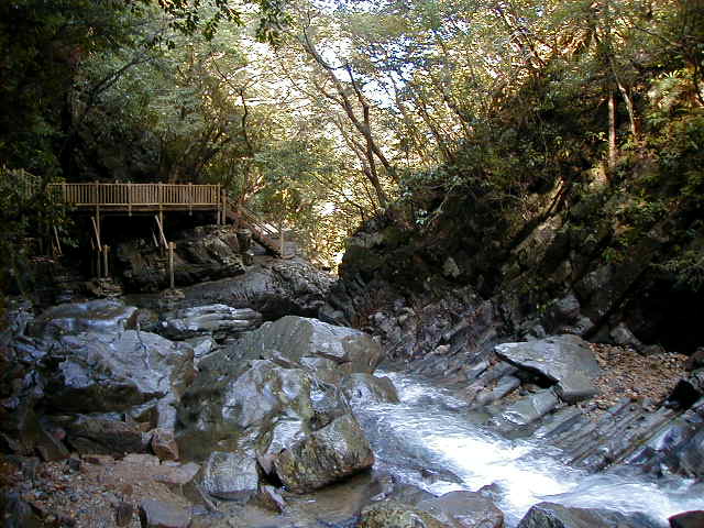 hijipathway.jpg, 63872 bytes, 11/24/2000