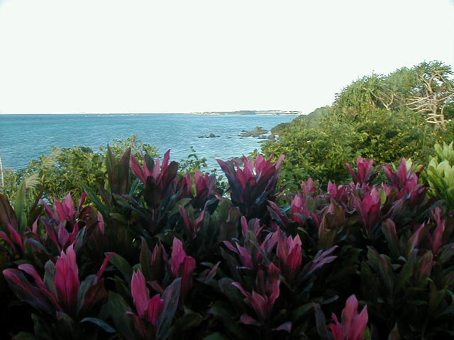hoteloverlook2.jpg, 58272 bytes, 11/23/2000