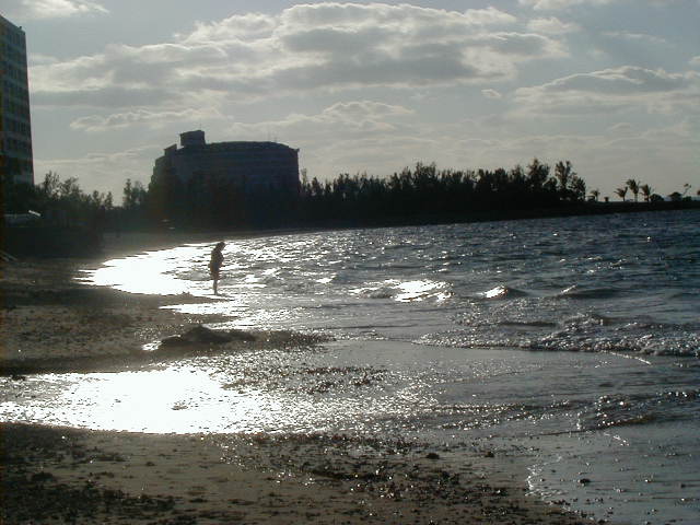 kimatthebeach.jpg, 59365 bytes, 11/23/2000