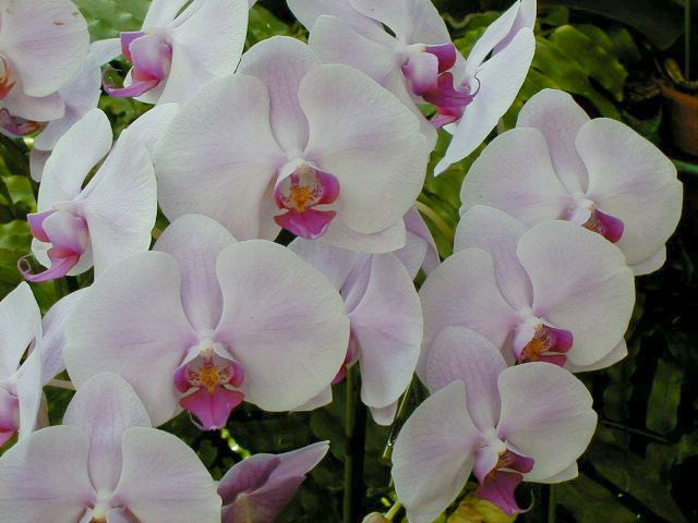 SANY0103.JPG, 50947 bytes, 11/27/2000