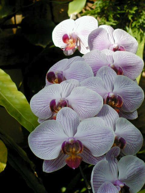 SANY0107.JPG, 54330 bytes, 11/27/2000