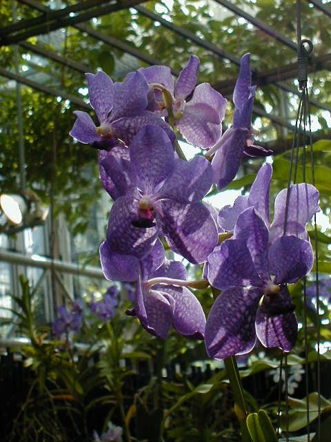 SANY0109.JPG, 67244 bytes, 11/27/2000