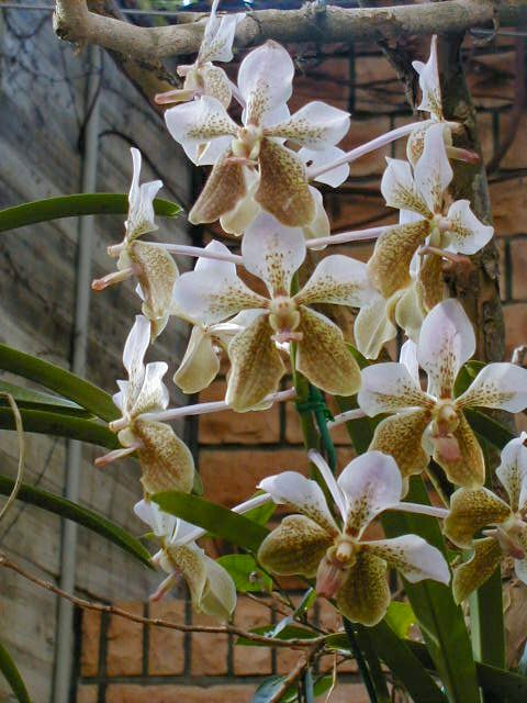 SANY0111.JPG, 65443 bytes, 11/27/2000
