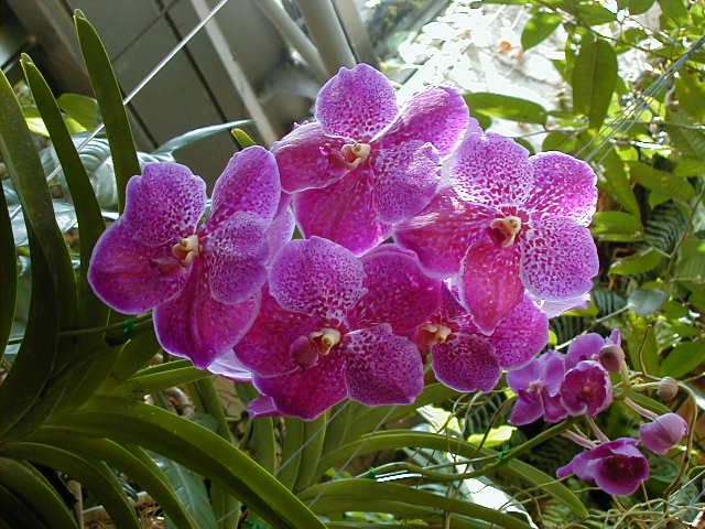 SANY0112.JPG, 63453 bytes, 11/25/2000