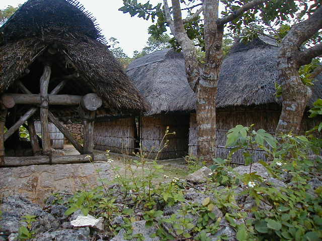 traditionalhousing.jpg, 63609 bytes, 11/25/2000