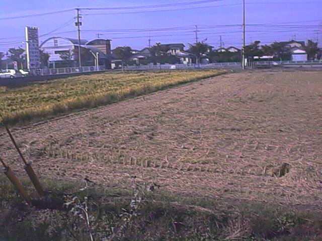 the field out back 1.jpg, 76210 bytes, 10/13/1999
