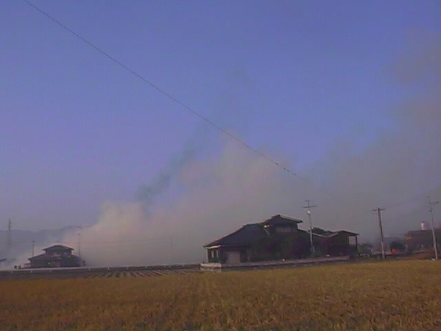the roof, the roof, nani nani.jpg, 24780 bytes, 10/25/1999