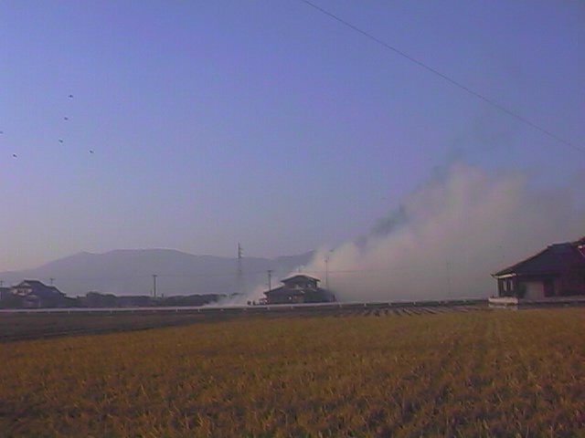 burnin down the house 1.jpg, 28403 bytes, 10/25/1999
